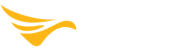 Volatus Aerospace